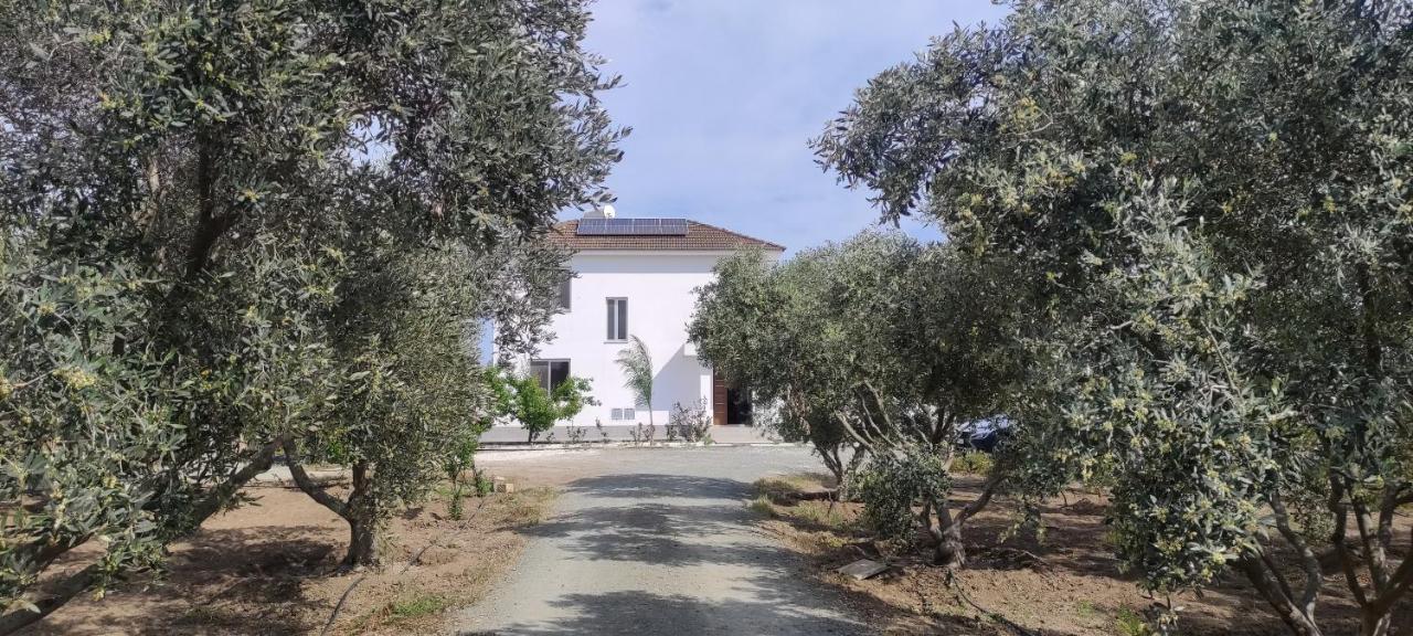 Kiti Village Villa, Cyprus, Salt-Water Pool, 6 Bedrooms, Larnaca Exterior photo